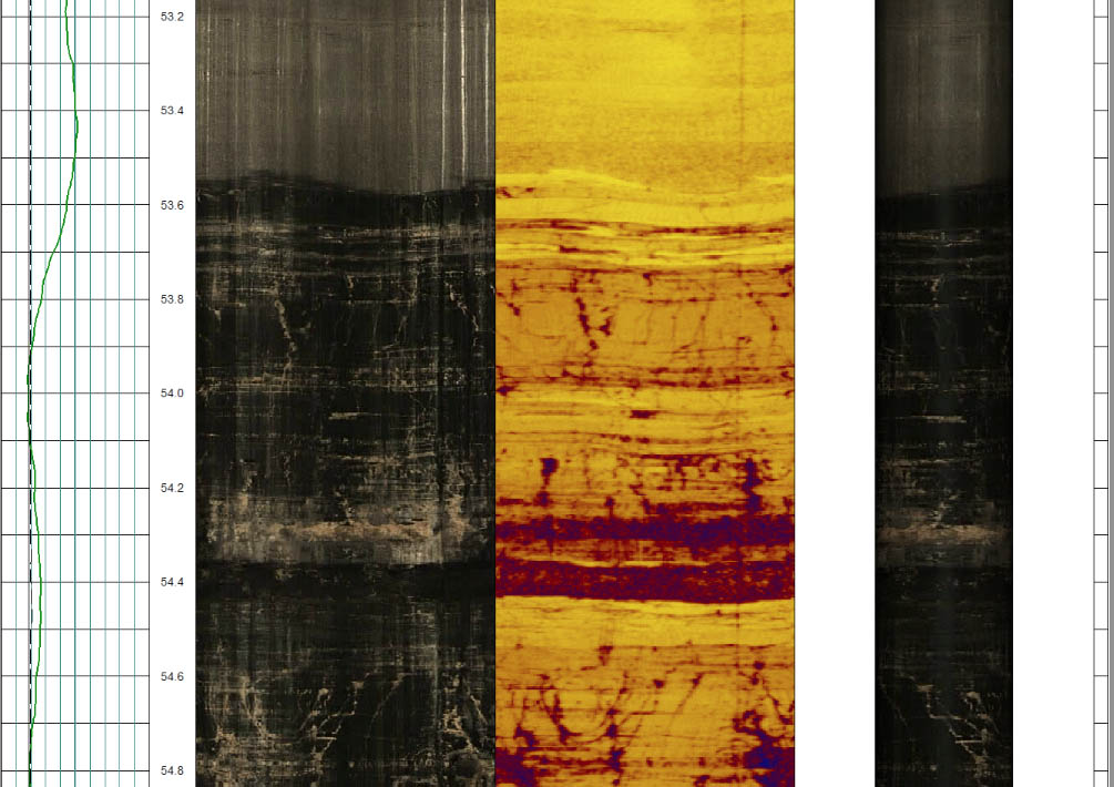 Optical and acoustic coal log